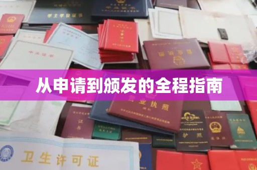 中原从申请到颁发的全程指南