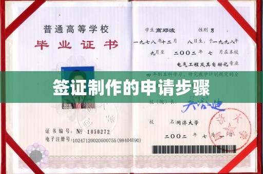 中原签证制作的申请步骤