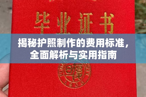 中原揭秘护照制作的费用标准，全面解析与实用指南
