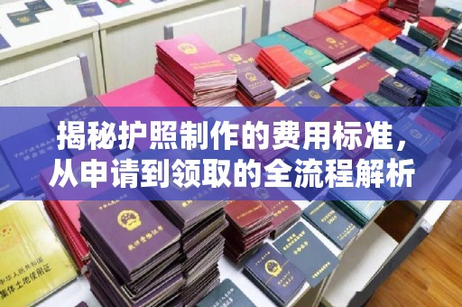 中原揭秘护照制作的费用标准，从申请到领取的全流程解析