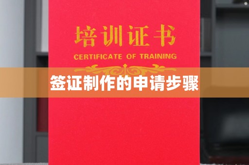 中原签证制作的申请步骤