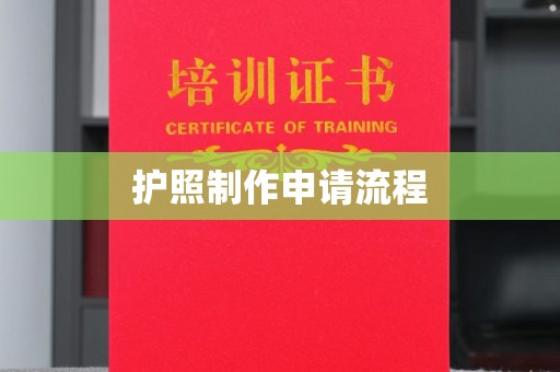 中原护照制作申请流程
