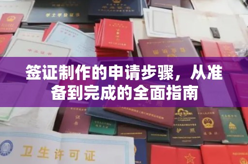 中原签证制作的申请步骤，从准备到完成的全面指南