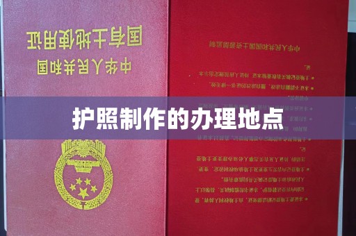 中原护照制作的办理地点