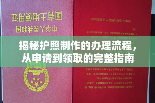 中原揭秘护照制作的办理流程，从申请到领取的完整指南