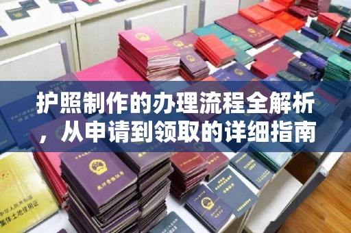 中原护照制作的办理流程全解析，从申请到领取的详细指南