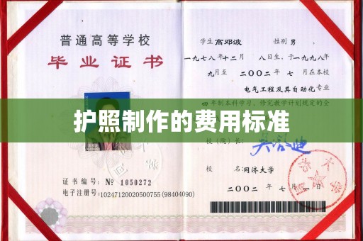 中原护照制作的费用标准