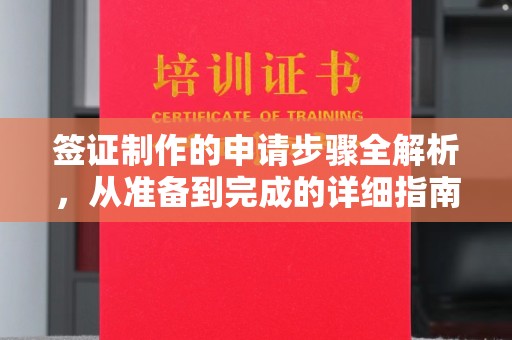 中原签证制作的申请步骤全解析，从准备到完成的详细指南